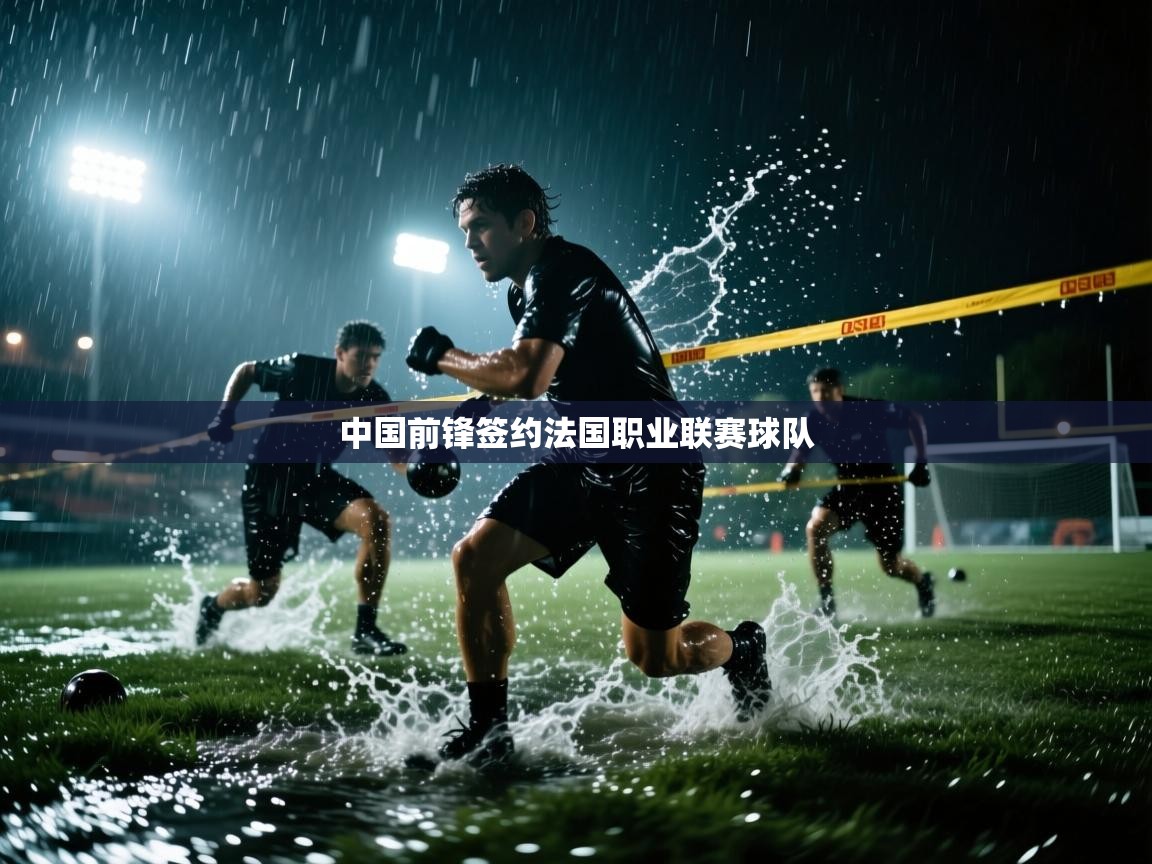 中国前锋签约法国职业联赛球队
