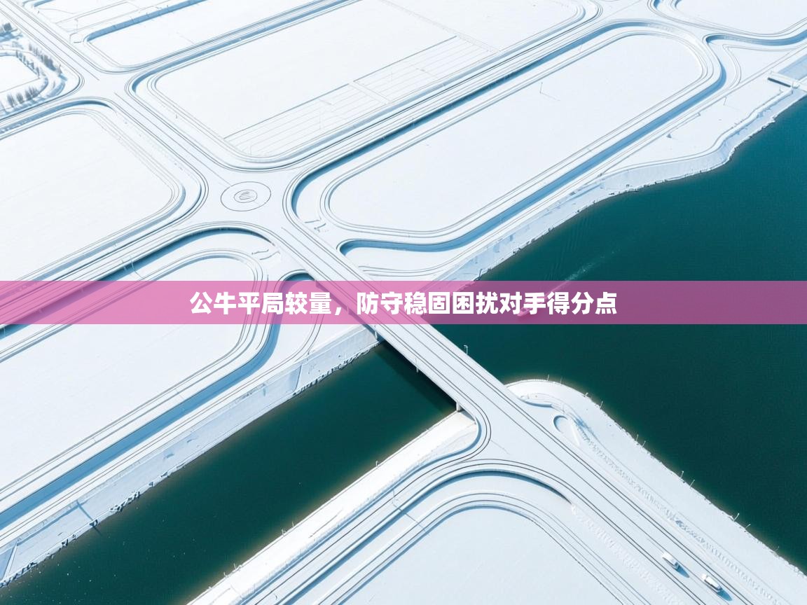 公牛平局较量，防守稳固困扰对手得分点  第2张