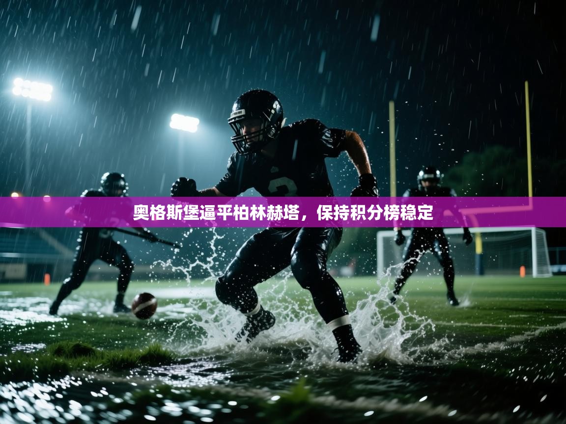 奥格斯堡逼平柏林赫塔，保持积分榜稳定  第2张